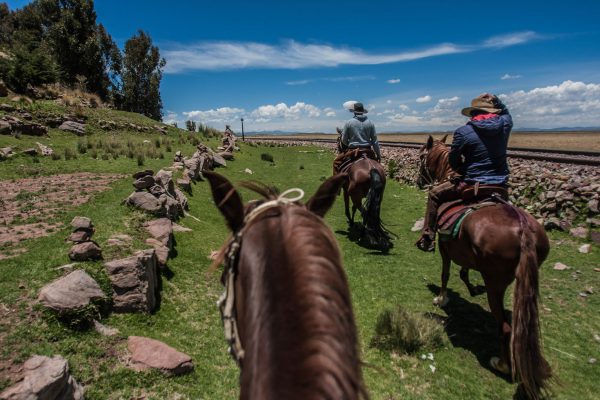 Fundo Chinchero <p>PUNO</p>
