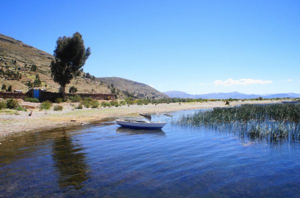 Luquina chico <p>PUNO</p>
