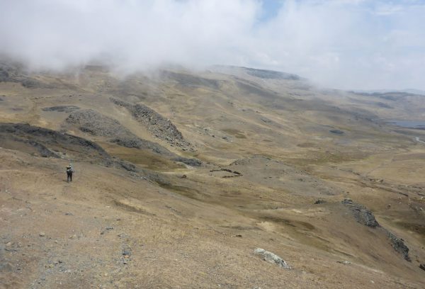 Snowy Macusani <p>PUNO</p>
