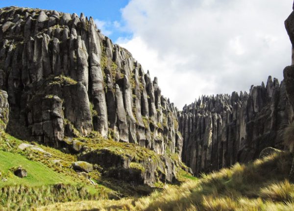 Stones forest Macusani <p>PUNO</p>
