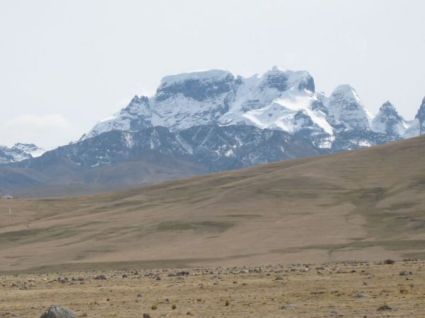 Snowy Macusani <p>PUNO</p>
