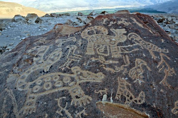 Petroglyphs of Toro Muerto <p>AREQUIPA</p>
